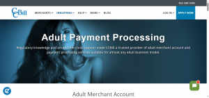CCBill as a Payment Processor for High Risk Industries Like Selling Sex Toys