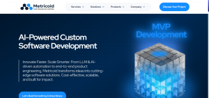 Metricoid, an Agentic AI powered SaaS Based Product Development Company
