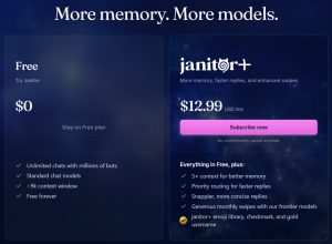Janitor AI Pricing Models Overview