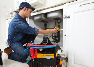 Professional Services for Hire